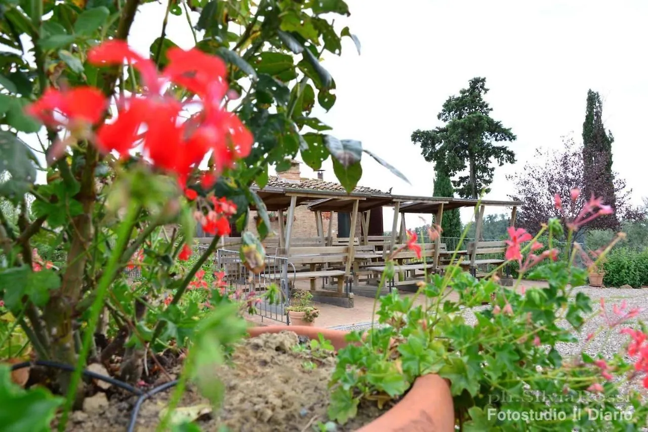 San Lorenzo Agriturismo Buonconvento Gospodarstwo agroturystyczne