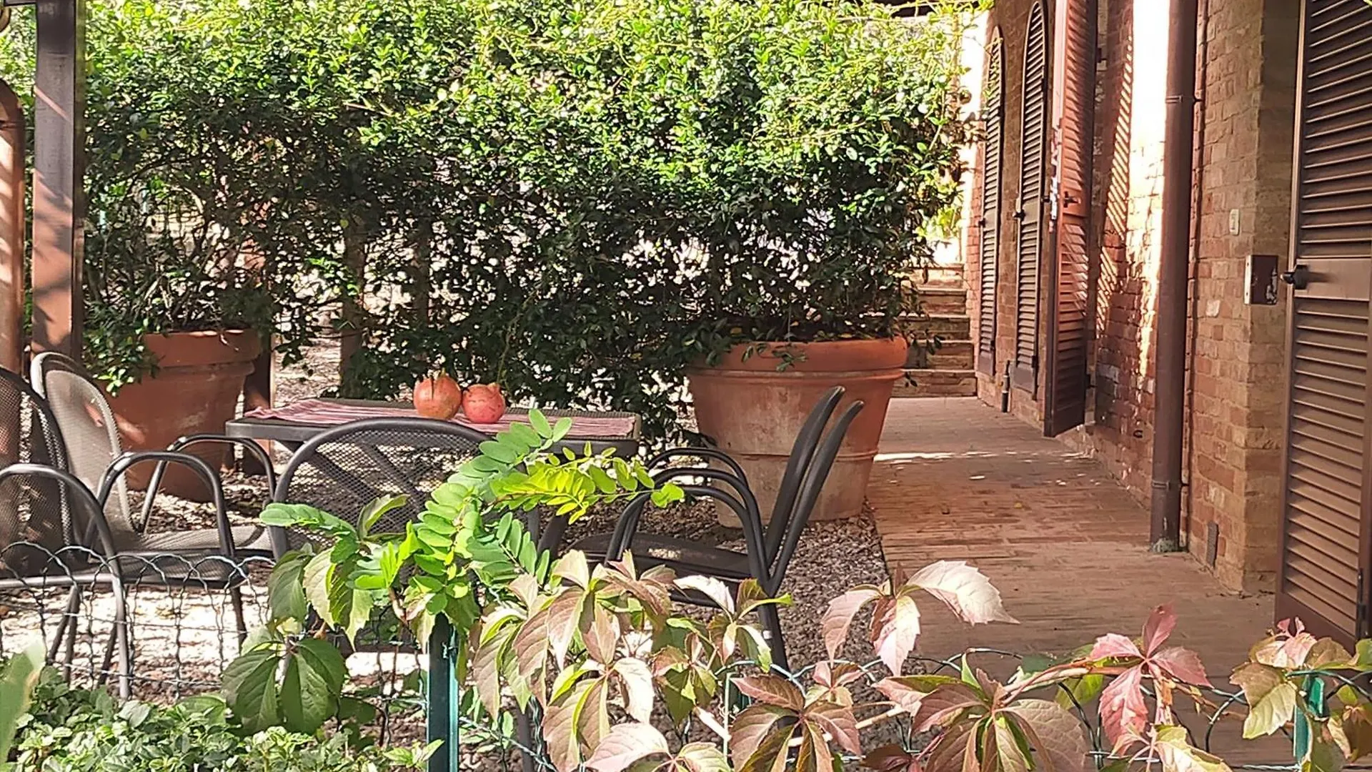 San Lorenzo Agriturismo Buonconvento Włochy