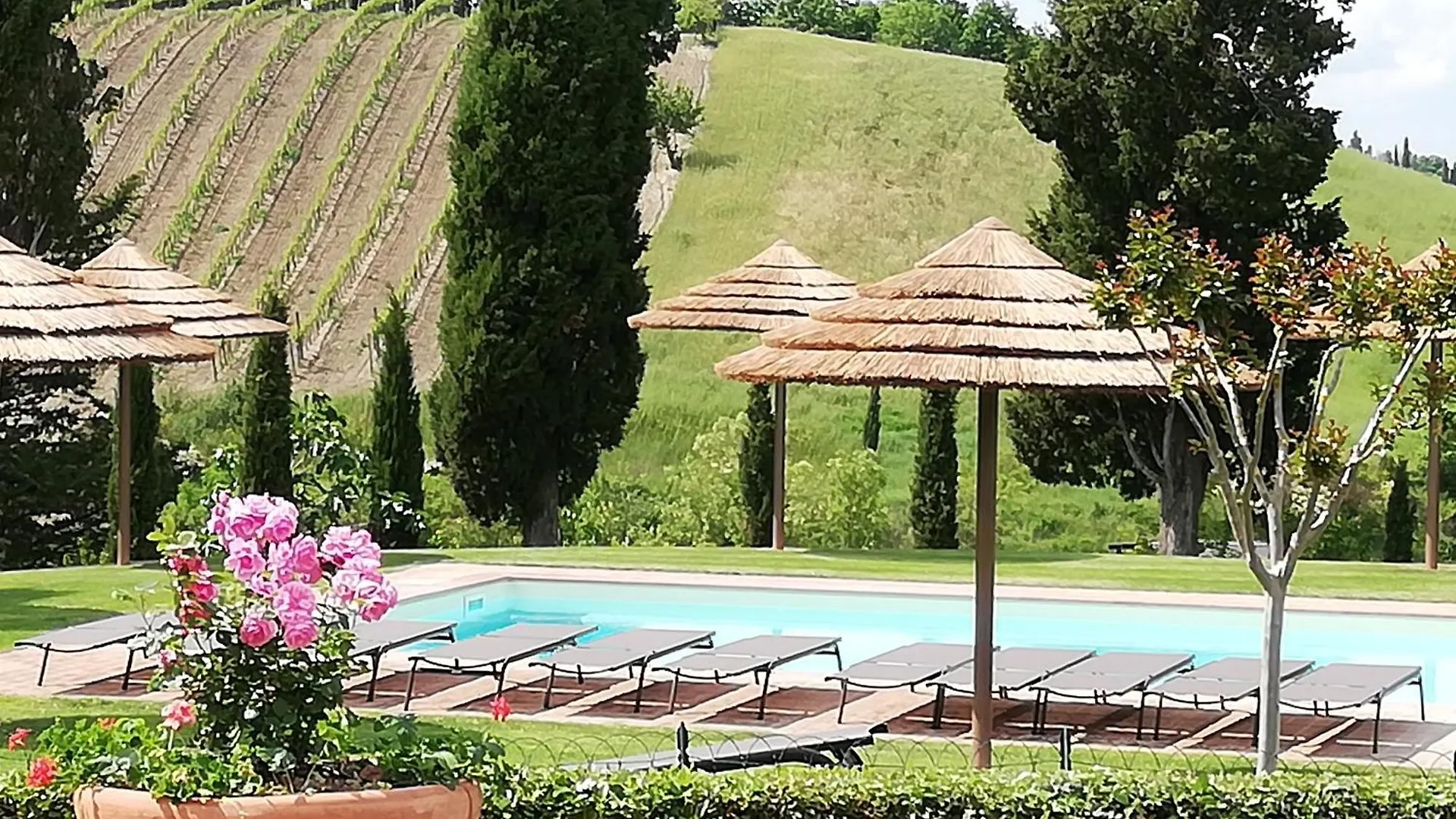 San Lorenzo Agriturismo Buonconvento Włochy
