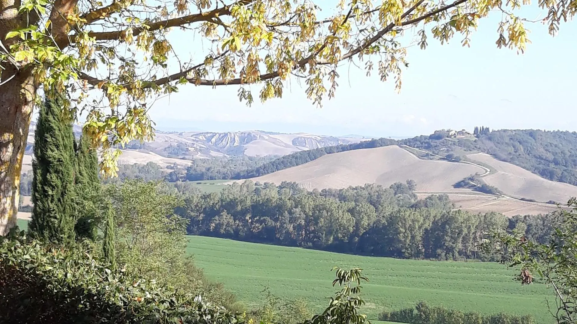 Gospodarstwo agroturystyczne San Lorenzo Agriturismo Buonconvento